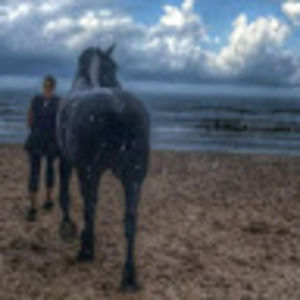 Meet your Posher, Hana